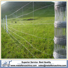 High Quality Rural Fence for Farm